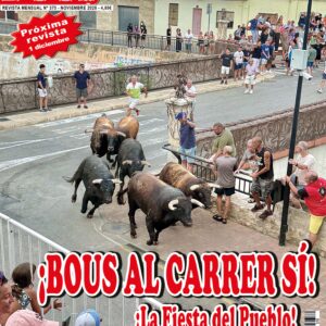 REVISTA BOUS AL CARRER Nº 370 de NOVIEMBRE de 2025